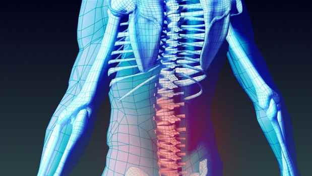 Back Pain Treatment, Back Pain surgery india mumbai