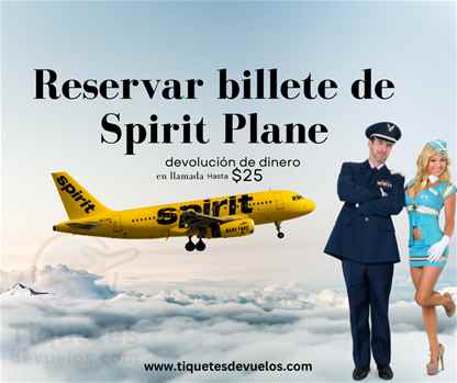 Encuentra las mejores ofertas de vuelos y reservas con Spirit Airlines