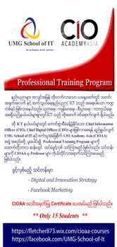 Professional Training Program
