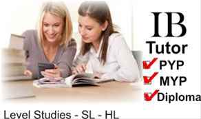 IB ITGS information technology in a global society project extended essay help tutors example sample