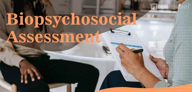 Biopsychosocial Assessment In Mental Health Assignment Help