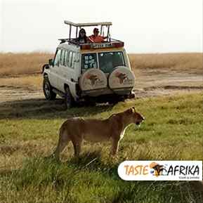 Arusha to Tarangire National Park Trips with TasteofAfrika