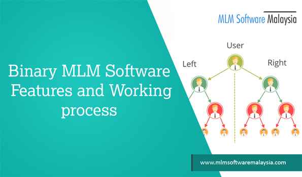 Binary MLM Software Features And Working process-MLM Software Malaysia